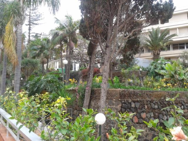 Tranquilo Apartamento Puerto De La Cruz エクステリア 写真