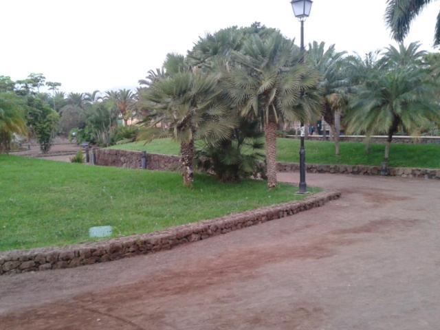 Tranquilo Apartamento Puerto De La Cruz エクステリア 写真